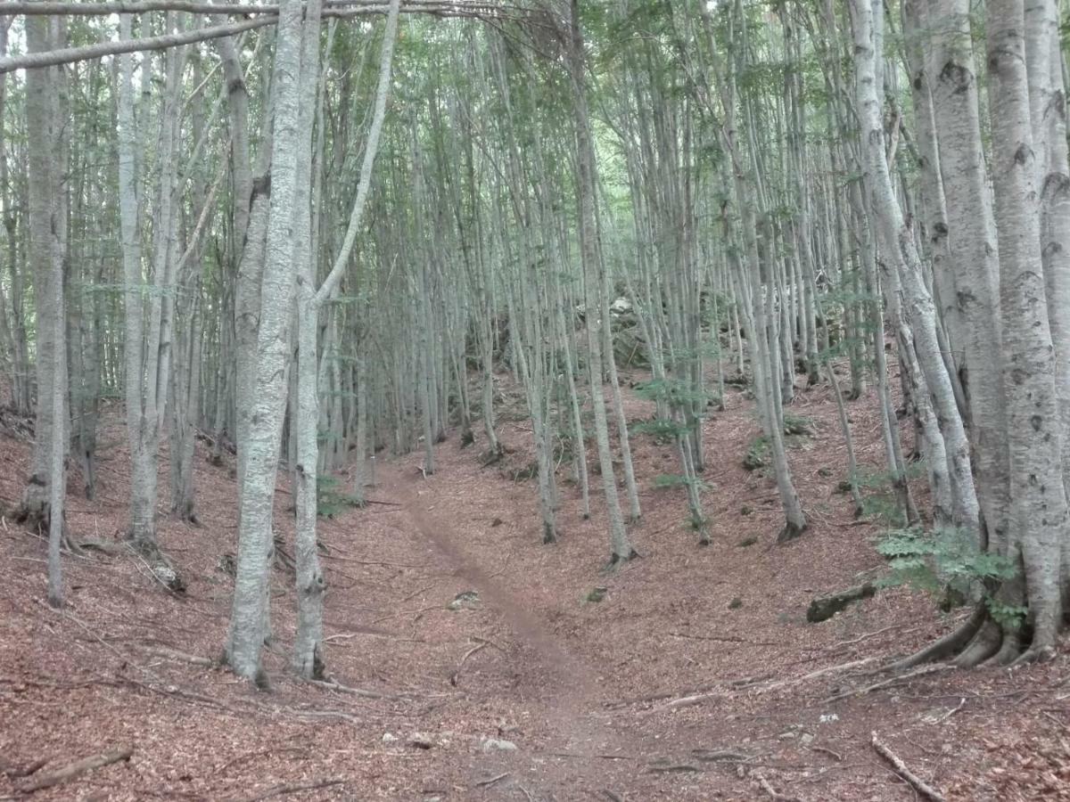 Affittacamere Da Morena Gorfigliano Luaran gambar