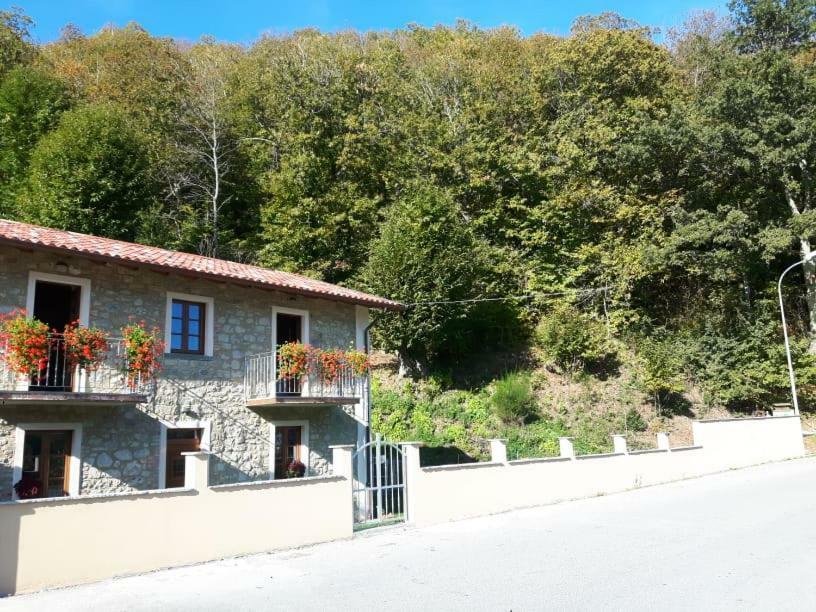 Affittacamere Da Morena Gorfigliano Luaran gambar